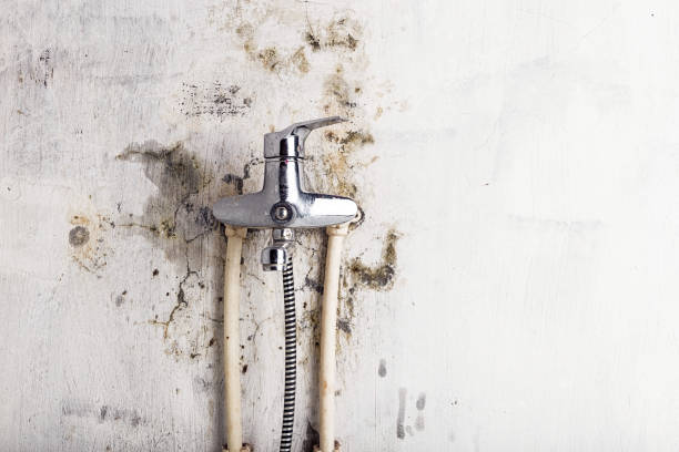 Maxton, NC Mold Removal Company
