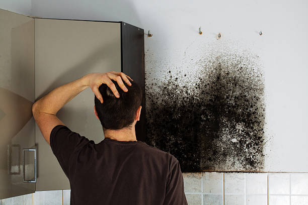 Best Commercial Mold Removal  in Maxton, NC